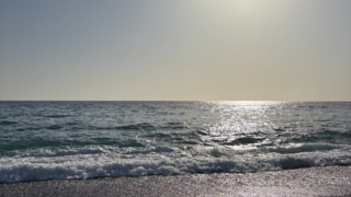 Thumbnail of post image 165