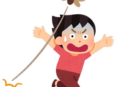 セミ嫌いが選ぶ、セミの種類Tier表