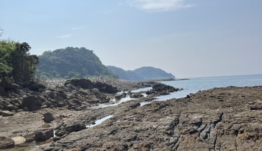 MahiMahi のここ10年間でやっておきたいこと。