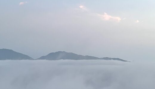 あけましておめでとうございます！！