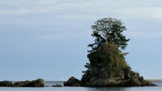 Thumbnail of post image 131