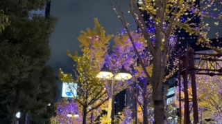 Thumbnail of post image 000