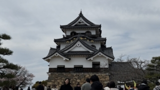 Thumbnail of post image 058