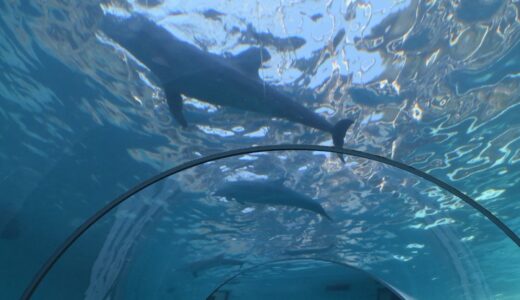 ロック×ロマンチックな和歌山(奮闘)旅行記